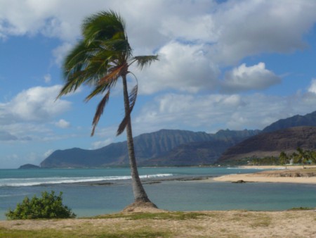 Kawailoa, Oahu, Hawaii